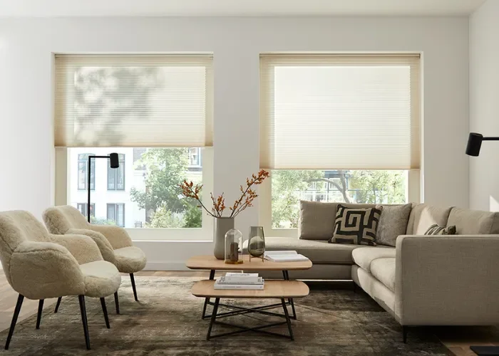 Actie Sunway Plisse Afbeelding 2 700x500 Actie Sunway Plisse Afbeelding 2 700x500