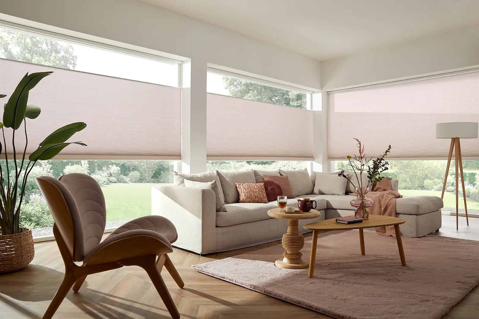 Sunway&reg; Duette&reg; & Pliss&eacute; shades 4e Gratis!